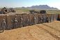 मिल गेबियन मेष हेस्को सैंडबैग बाड़ बेसेशन बैरियर दीवार सेना संरक्षण भरें आपूर्तिकर्ता